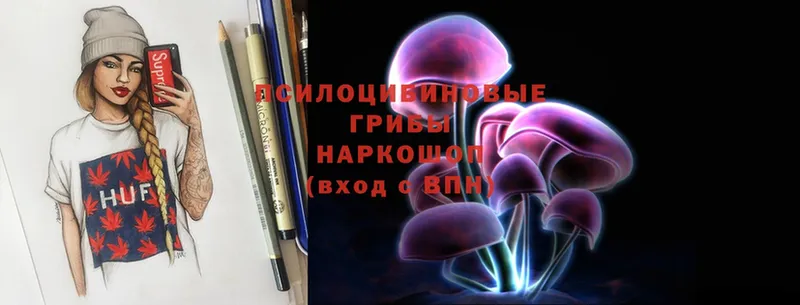 мега рабочий сайт  Сосенский  Псилоцибиновые грибы Psilocybine cubensis 